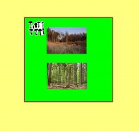 /album/fotogalerie-co-o-houbach-vim/dary-lesa-jpg/